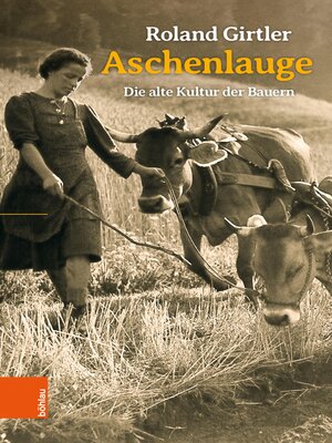 cover image of Aschenlauge